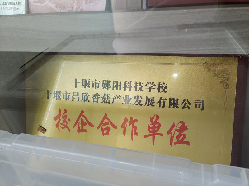 校企合作單位
