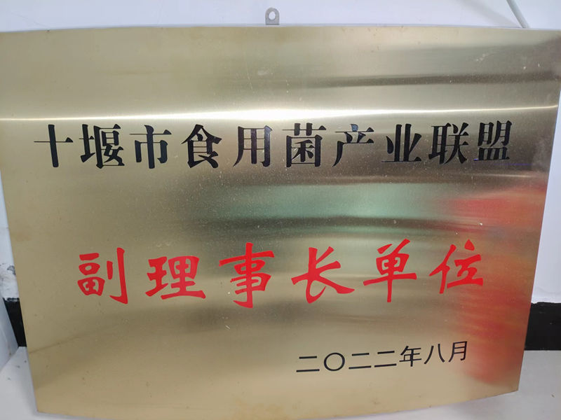 十堰市食用菌產(chǎn)業(yè)聯(lián)盟副理事長單位
